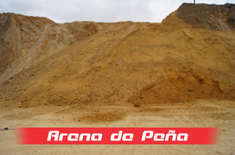 Arena