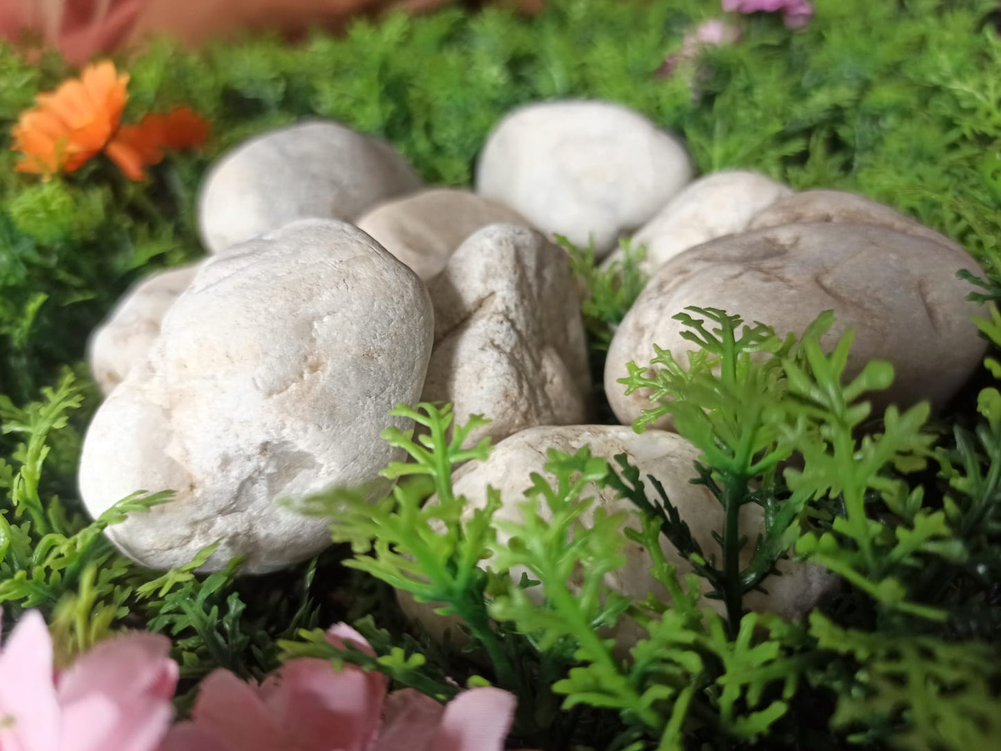 Piedras de Rio Huevo Blanca